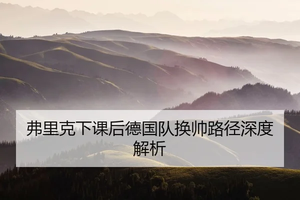 弗里克下课后德国队换帅路径深度解析